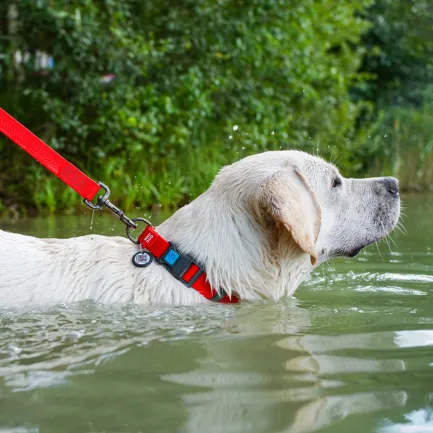 Нашийник для собак водостійкий WAUDOG Waterproof c QR паспортом, пластикова пряжка-фастекс, Ш 25 мм, Дов 38-58 см, червоний — Фото 1