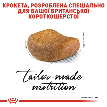 Сухий корм Royal Canin BRITISH SHORTHAIR ADULT для котів породи Британська короткошерста кішка 0,4 кг — Фото 2