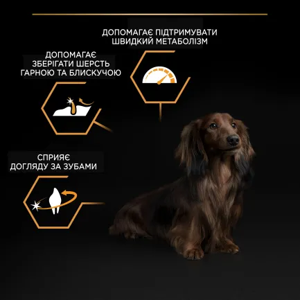 Сухий корм PRO PLAN Small&amp;Mini Adult 1+ Everyday Nutrion для дорослих собак дрібних порід з куркою 700 г — Фото 5