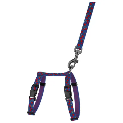Шлея з Повідцем для Котів та Дрібних Собак BronzeDog Urban Fruits Вишні XS — Фото 1