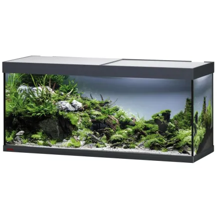 Акваріум Eheim vivaline LED 240 1x16.3W (LED) антрацитовий без тумби (0613079) — Фото 1