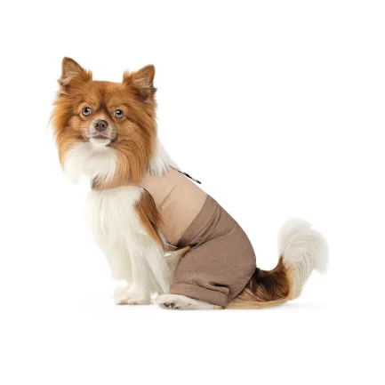Шлея-костюм Darcy ТМ Pet Fashion для собак XS2 бежева — Фото 1