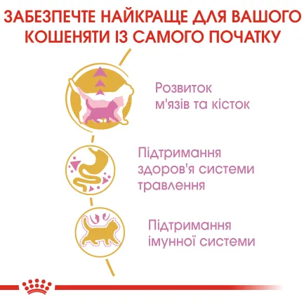 Сухий корм Royal Canin KITTEN BRITISH SHORTHAIR для породи кошенят Британська короткошерста кішка 0,4 кг — Фото 2