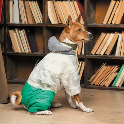 Костюм Pet Fashion Man для собак, розмір XS2, зелений — Фото 5