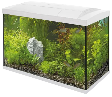 Акваріумний стартовий набір SuperFish Start 150 Aquarium Kit White (A4050383)