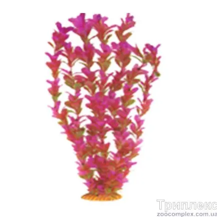 Aquatic Plants (Акватик Плэнтс) Акваріумна рослина, 46 см х 6 шт/уп.