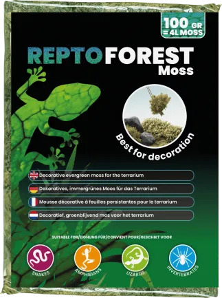 Декорація для акваріума REPTO FOREST MOSS 100G (R5100490) — Фото 1