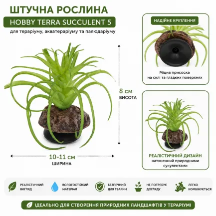 Штучна рослина Hobby Terra Succulent 5 8 см (37734) для тераріуму, акватераріуму та палюдаріуму — Фото 1