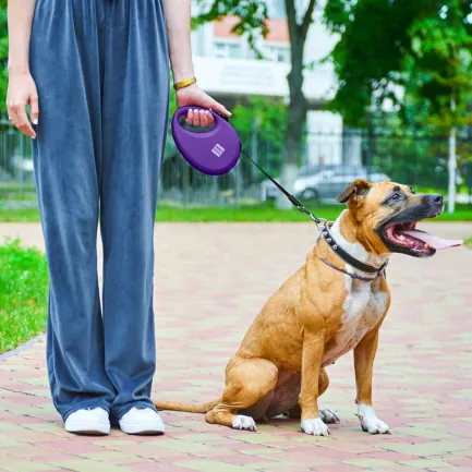 Повідець-рулетка для собак WAUDOG R-leash з контейнером для пакетів, світловідбивна стрічка, L, до 40 кг, 5 м, фіолетовий — Фото 1