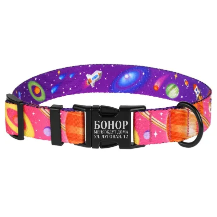 Нашийник для собак BronzeDog Urban Cosmos нейлоновий з металевою пряжкою Рожевий L — Фото 1