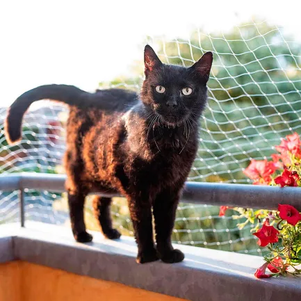 Ferplast CAT NET XL Сітка для безпеки котів — Фото 2