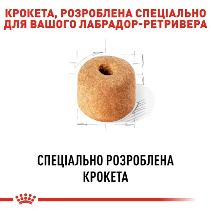 Сухий корм Royal Canin LABRADOR ADULT для дорослих собак породи Лабрадор 12 кг — Фото 3