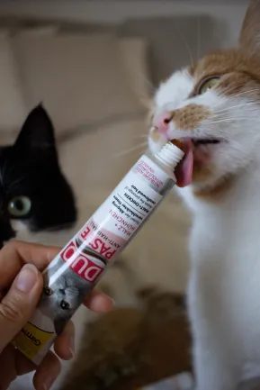 Паста для котів з чутливим травленням GimCat DUO PASTE Anti-hairball malt with chicken мальт та курка, 50 г — Фото 3