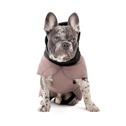 Попона Pet Fashion Max для собак S2 такса — Фото 2