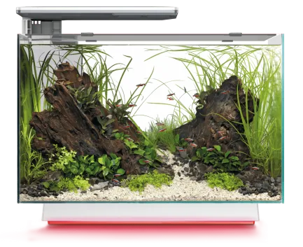 Акваріум скляний - Superfish Quadro 70 Multi Colour WHITE (A4052230)
