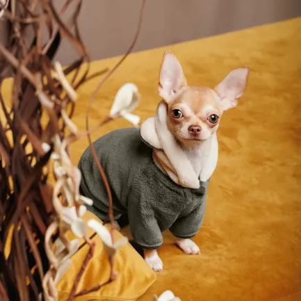 Костюм Pet Fashion «Alf» для собак, розмір XS2, хакі — Фото 3