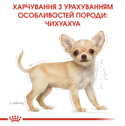 Сухий корм Royal Canin CHIHUAHUA PUPPY для цуценят породи Чихуахуа 1,5 кг — Фото 2