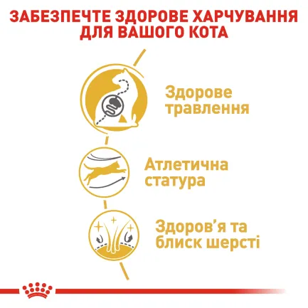 Сухий корм Royal Canin BENGAL ADULT для котів породи Бенгал 2 кг — Фото 3