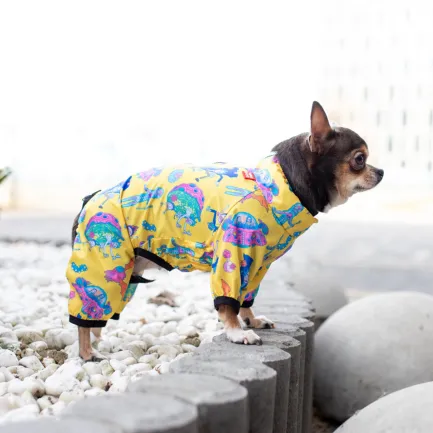 Вітровка для собак WAUDOG Clothes, малюнок "Рік та Морті 3", XS22, В 30-34 см, С 19-21 см — Фото 6