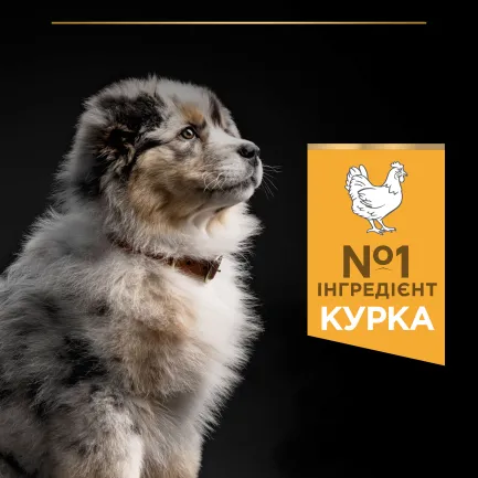 Сухий корм PRO PLAN Medium Puppy <1 Healthy Start для цуценят середніх порід з куркою 12 кг — Фото 4