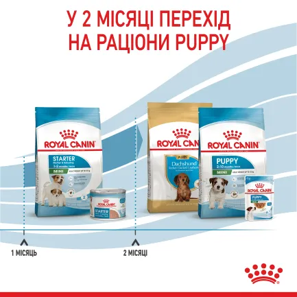 Сухий корм Royal Canin MINI STARTER для дорослих собак малих порід 8 кг — Фото 6
