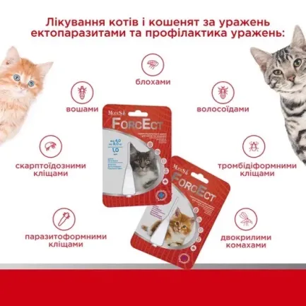 ФорсЕкт (ForcEct) протипаразитарні краплі для котів та кошенят 4,0-8,0 кг, 1,0 мл, MODES — Фото 1