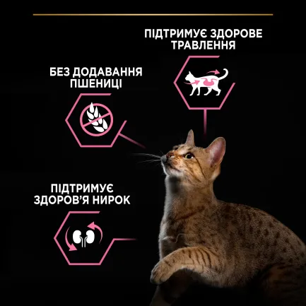 Сухий корм PRO PLAN Adult 1+ Delicate Digestion для дорослих котів з чутливою травною системою з індичкою 14 кг — Фото 5