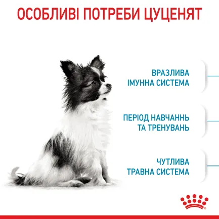 Сухий корм Royal Canin XSMALL PUPPY для цуценят мініатюрних порід 1,5 кг — Фото 4