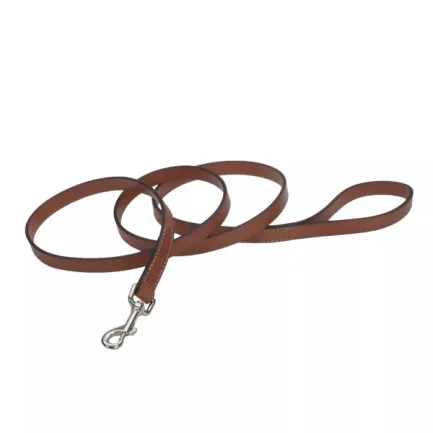 Coastal Circle-T Dog Leash КОСТАЛ СЕРКЛ-Т шкіряний повідець для собак, 1.6смХ1.8м Бежевий