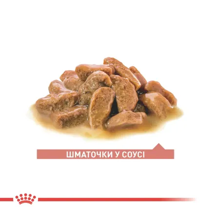 Вологий корм для літніх котів ROYAL CANIN AGEING 11+(від 11 років) 85 г — Фото 1