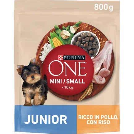 Сухий корм PURINA ONE Mini/Small Junior для цуценят дрібних порід з куркою 800 г