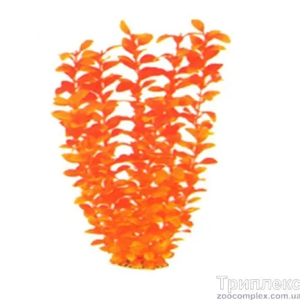 Aquatic Plants (Акватик Плэнтс) Акваріумна рослина, 46 см х 6 шт/уп.