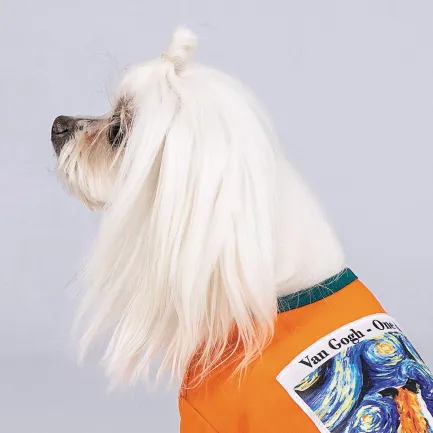 Футболка Pet Fashion «Art» для собак, розмір XS, помаранчева — Фото 4