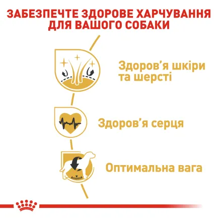 Сухий корм Royal Canin GOLDEN RETRIEVER ADULT для дорослих собак породи Золотистий ретрівер 12 кг — Фото 4