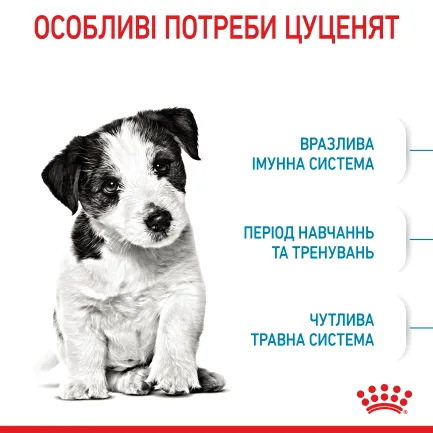 Сухий корм Royal Canin MINI PUPPY для цуценят малих порід 2 кг — Фото 3