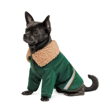 Костюм Pet Fashion «Joy» для собак, розмір XS2, зелений — Фото 1
