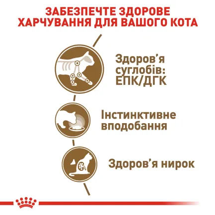 Вологий корм Royal Canin AGEING+12 для котів всіх порід 85 г — Фото 3