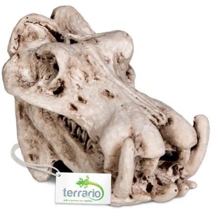 Декорація череп бегемота Terrario Hippo Skull 5x3x3см (533) — Фото 3