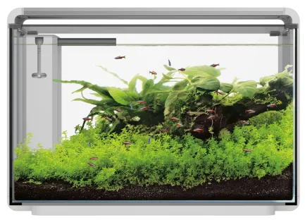 Акваріумний набір SuperFish Home ProLED 65 White (A4051630)