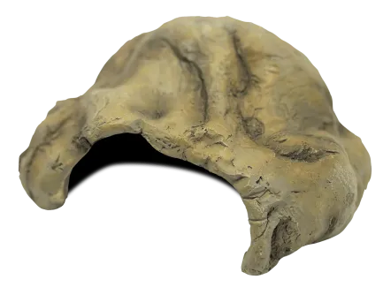 Декорація для акваріума REPTO DECO CAVE L (R5100100)