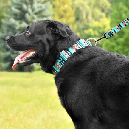 Нашийник для Собак Мартінґейл BronzeDog Urban Нейлоновий з Металевою Фурнітурою Інки L — Фото 6