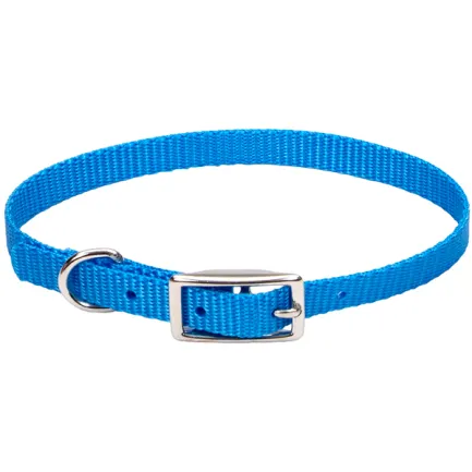 Coastal Nylon Web КОСТАЛ НАЙЛОН ВЕБ нашийник для собак, 1х25см Блакитна лагуна
