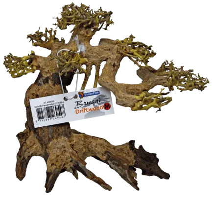 Дерево бонсай BONSAI DRIFTWOOD M (A4080105)