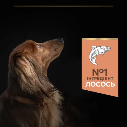 Сухий корм PRO PLAN Small&amp;Mini Adult 1+ Sensitive Skin для дорослих собак дрібних порід з чутливою шкірою з лососем 700 г — Фото 5