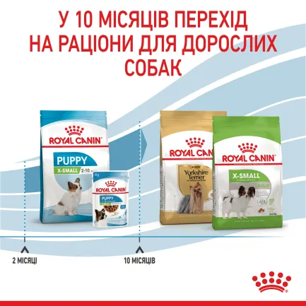 Сухий корм Royal Canin XSMALL PUPPY для цуценят мініатюрних порід 1,5 кг — Фото 3