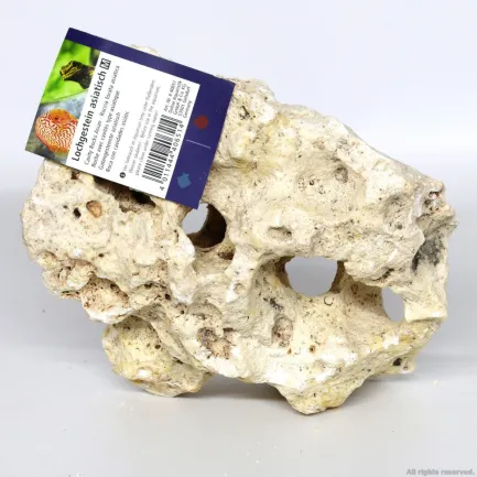 Декоративний природній камінь Hobby Cavity Rocks Asian M 1-2кг (40651) — Фото 4