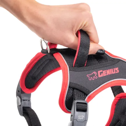 Ferplast GENIUS SMALL RED HARNESS нейлонова шлея для тварин червона — Фото 7