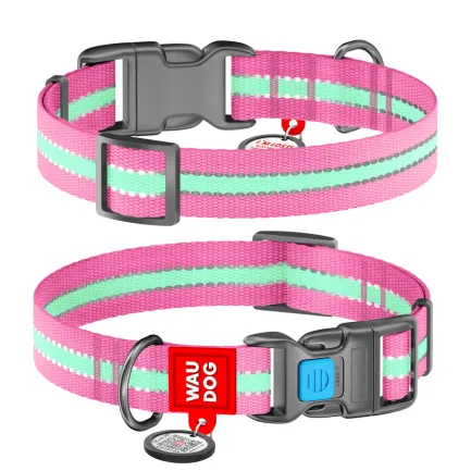 Нашийник для собак нейлоновий WAUDOG Nylon з QR паспортом, світлонакопичувальний/світловідбивний, пластиковий фастекс, Ш 25 мм, Дов 33-49 см рожевий