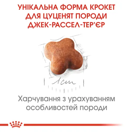 Сухий корм Royal Canin JACK RUSSEL PUPPY для цуценят породи Джек Расел Тер`єр 1,5 кг — Фото 3