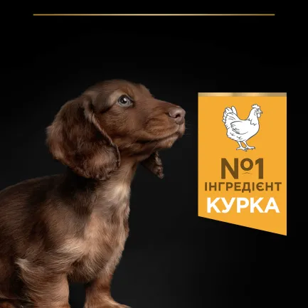 Сухий корм PRO PLAN Small &amp; Mini Puppy <1 Healthy Start для цуценят дрібних порід з куркою 3 кг — Фото 4